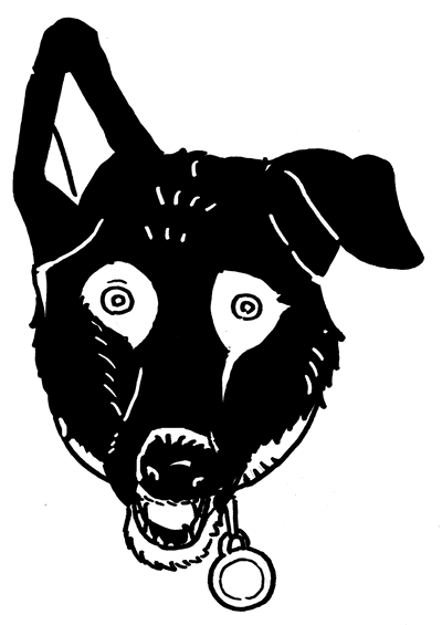 Big Dog Asset Management